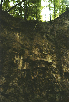Felswand am Hohlstein