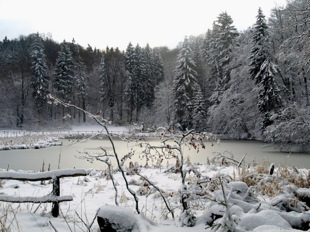 Holle-Teich im Winter
